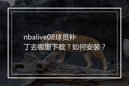 nbalive08球员补丁去哪里下载？如何安装？