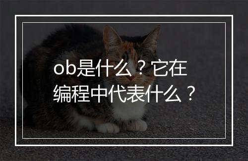 ob是什么？它在编程中代表什么？