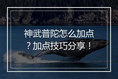 神武普陀怎么加点？加点技巧分享！
