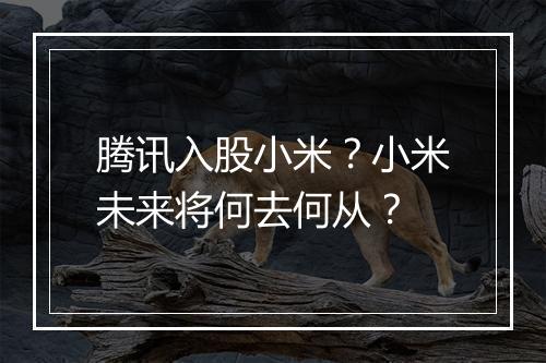 腾讯入股小米？小米未来将何去何从？