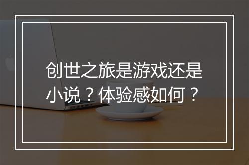 创世之旅是游戏还是小说？体验感如何？