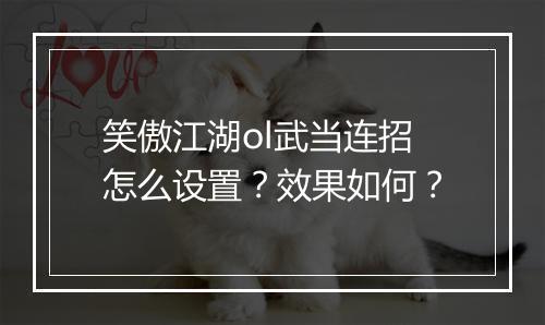 笑傲江湖ol武当连招怎么设置？效果如何？