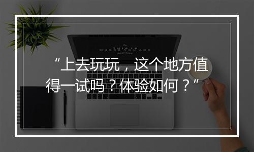 “上去玩玩，这个地方值得一试吗？体验如何？”