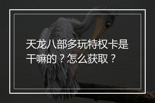 天龙八部多玩特权卡是干嘛的？怎么获取？