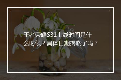 王者荣耀S31上线时间是什么时候？具体日期揭晓了吗？