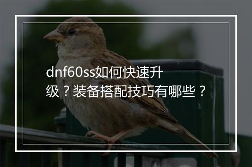dnf60ss如何快速升级？装备搭配技巧有哪些？