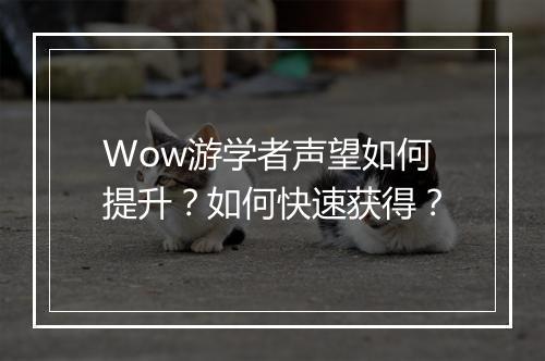 Wow游学者声望如何提升？如何快速获得？