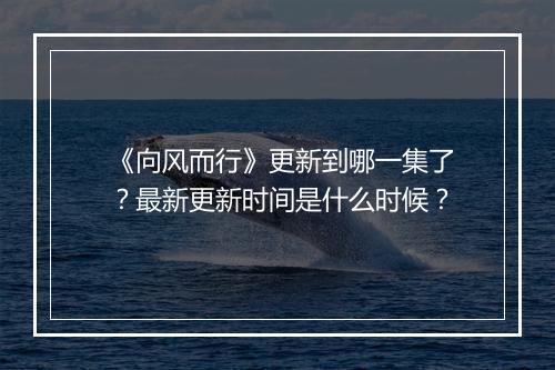 《向风而行》更新到哪一集了？最新更新时间是什么时候？