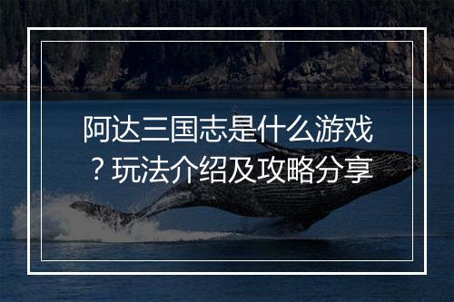 阿达三国志是什么游戏？玩法介绍及攻略分享