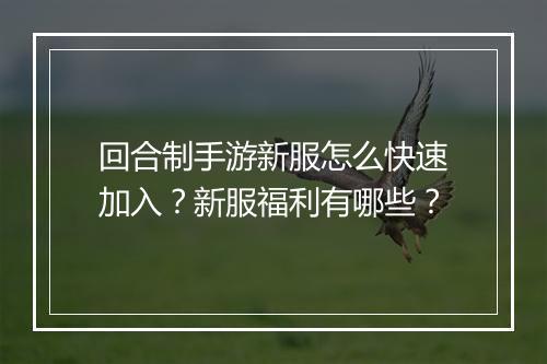 回合制手游新服怎么快速加入？新服福利有哪些？