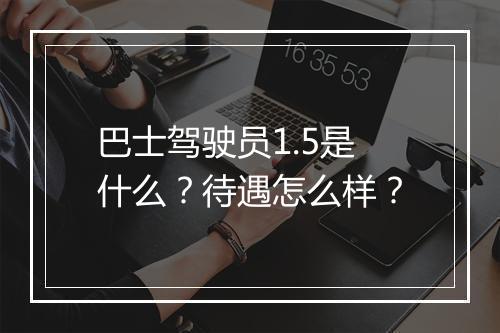 巴士驾驶员1.5是什么？待遇怎么样？