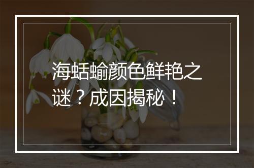 海蛞蝓颜色鲜艳之谜？成因揭秘！