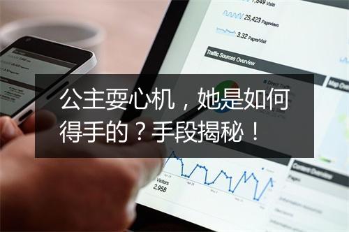 公主耍心机，她是如何得手的？手段揭秘！