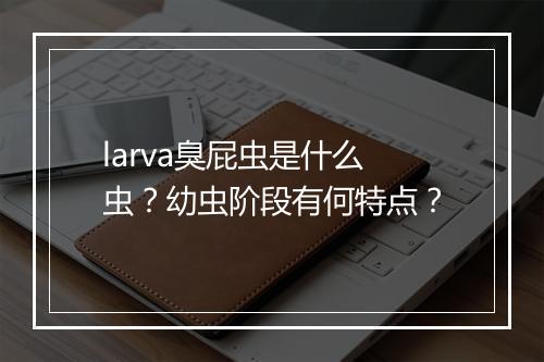 larva臭屁虫是什么虫？幼虫阶段有何特点？