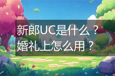 新郎UC是什么？婚礼上怎么用？