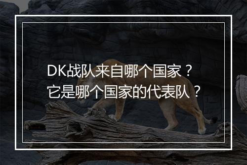 DK战队来自哪个国家？它是哪个国家的代表队？