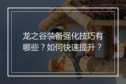 龙之谷装备强化技巧有哪些？如何快速提升？