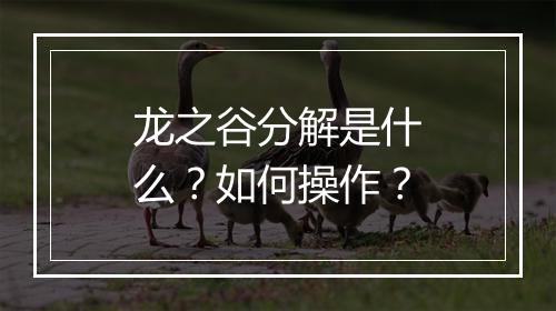 龙之谷分解是什么？如何操作？
