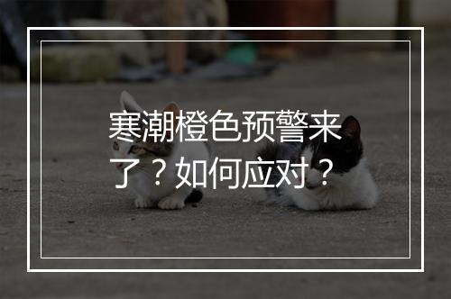 寒潮橙色预警来了？如何应对？