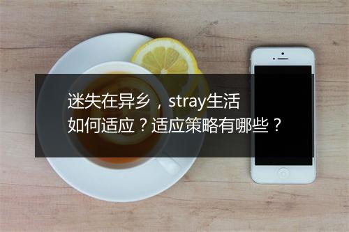 迷失在异乡，stray生活如何适应？适应策略有哪些？