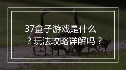 37盒子游戏是什么？玩法攻略详解吗？