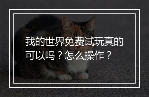 我的世界免费试玩真的可以吗？怎么操作？