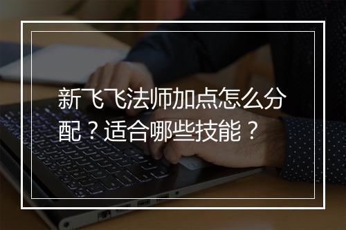 新飞飞法师加点怎么分配？适合哪些技能？