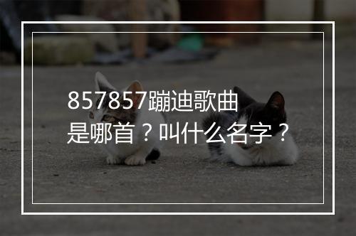 857857蹦迪歌曲是哪首？叫什么名字？
