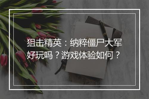 狙击精英：纳粹僵尸大军好玩吗？游戏体验如何？