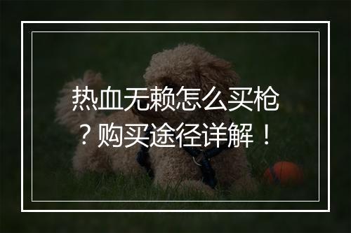热血无赖怎么买枪？购买途径详解！