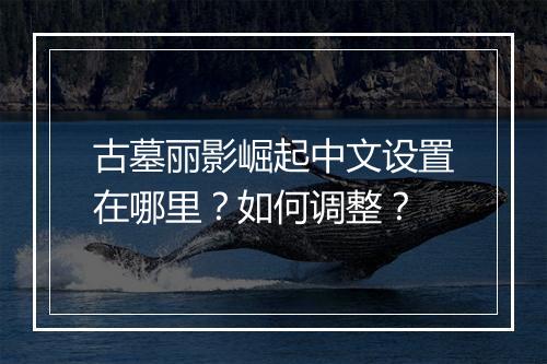古墓丽影崛起中文设置在哪里？如何调整？