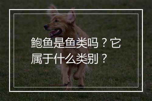 鲍鱼是鱼类吗？它属于什么类别？