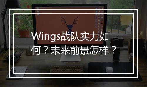 Wings战队实力如何？未来前景怎样？