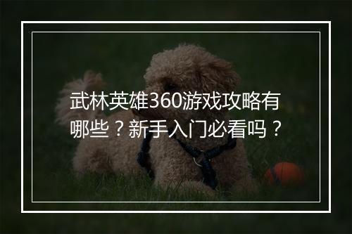 武林英雄360游戏攻略有哪些？新手入门必看吗？