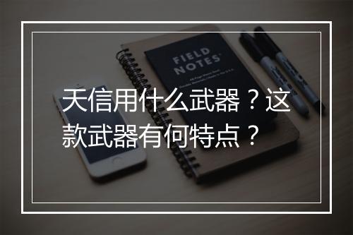 天信用什么武器？这款武器有何特点？