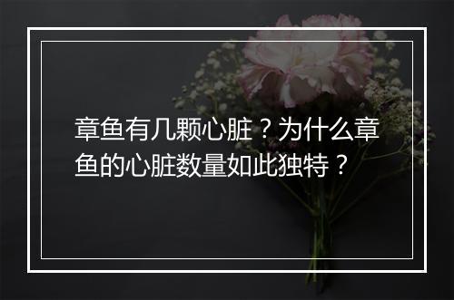 章鱼有几颗心脏？为什么章鱼的心脏数量如此独特？