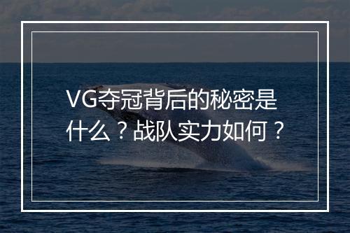 VG夺冠背后的秘密是什么？战队实力如何？