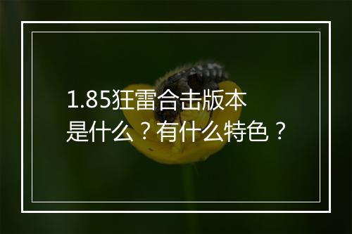 1.85狂雷合击版本是什么？有什么特色？