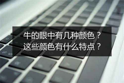 牛的眼中有几种颜色？这些颜色有什么特点？
