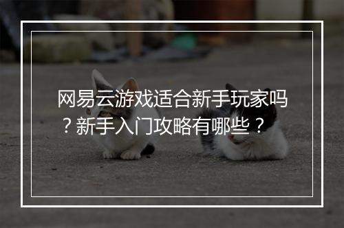 网易云游戏适合新手玩家吗？新手入门攻略有哪些？