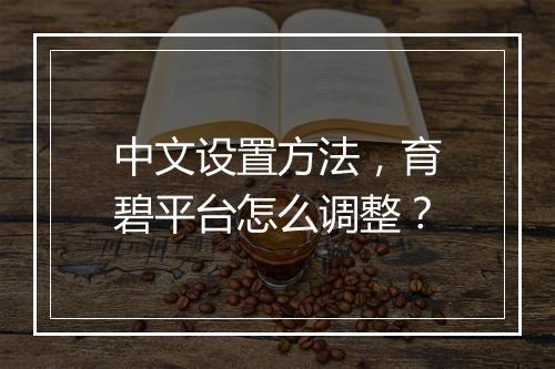 中文设置方法，育碧平台怎么调整？