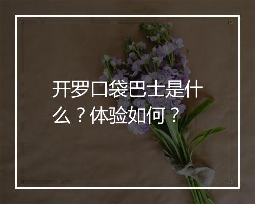 开罗口袋巴士是什么？体验如何？
