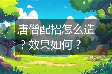 唐僧配招怎么造？效果如何？