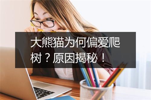 大熊猫为何偏爱爬树？原因揭秘！