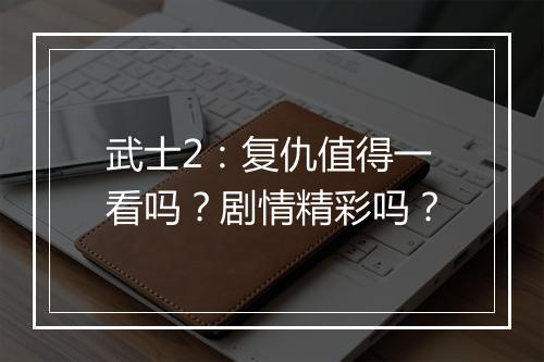 武士2：复仇值得一看吗？剧情精彩吗？