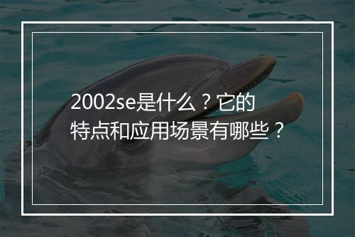 2002se是什么？它的特点和应用场景有哪些？
