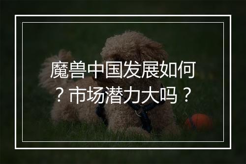 魔兽中国发展如何？市场潜力大吗？