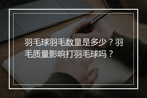 羽毛球羽毛数量是多少？羽毛质量影响打羽毛球吗？