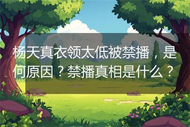 杨天真衣领太低被禁播，是何原因？禁播真相是什么？