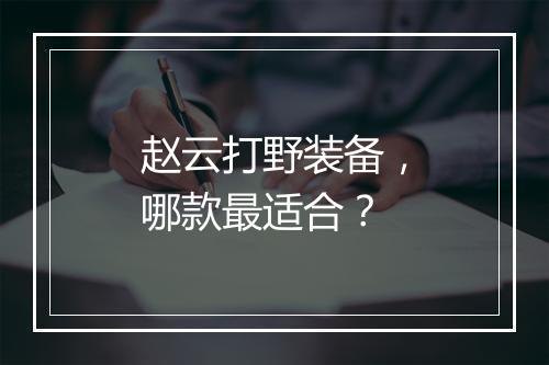 赵云打野装备，哪款最适合？